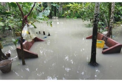 জোয়ারের পানিতে বিপর্যস্ত মোরেলগঞ্জের জনজীবন 