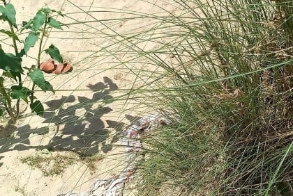 দুর্গাপুরে নারীর লাশ উদ্ধার 