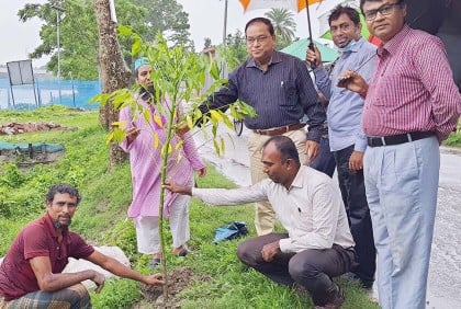 বাগেরহাটে ১০ কিলোমিটার সড়কে বৃক্ষরোপণ কর্মসূচির উদ্বোধন