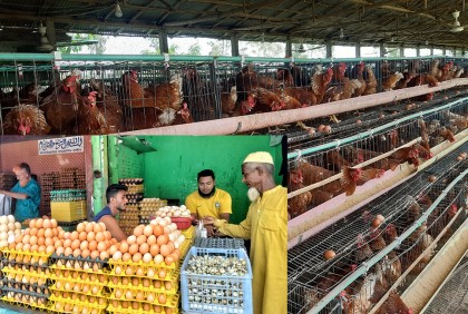বগুড়ায় দফায় দফায় বাড়ছে মুরগি ও ডিমের দাম 