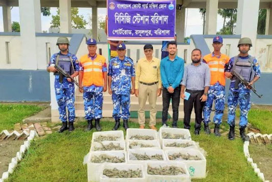 বরিশালে জেলি মিশ্রিত চিংড়ি জব্দের
পর ধ্বংস করেছে কোস্টগার্ড