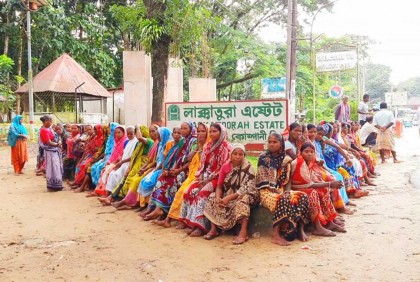 বৈঠকে হয়নি সুরাহা, ধর্মঘট চালিয়ে যাবেন চা শ্রমিকরা

