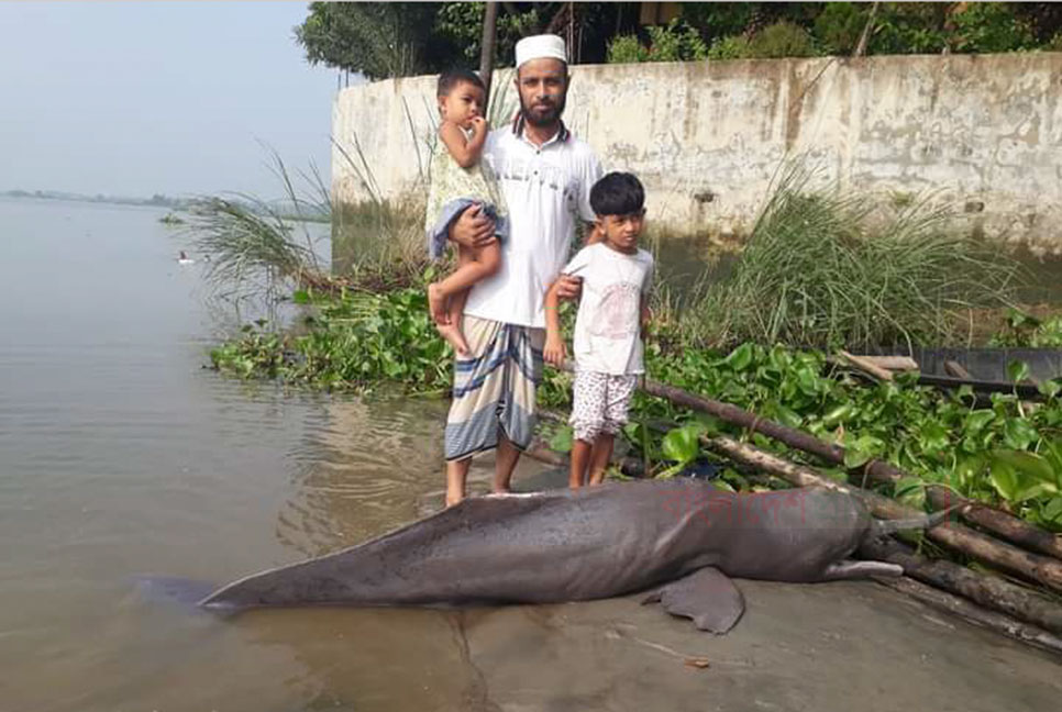 কাঁঠালিয়া নদীর তীরে ভেসে উঠেছে মৃত শুশুক 