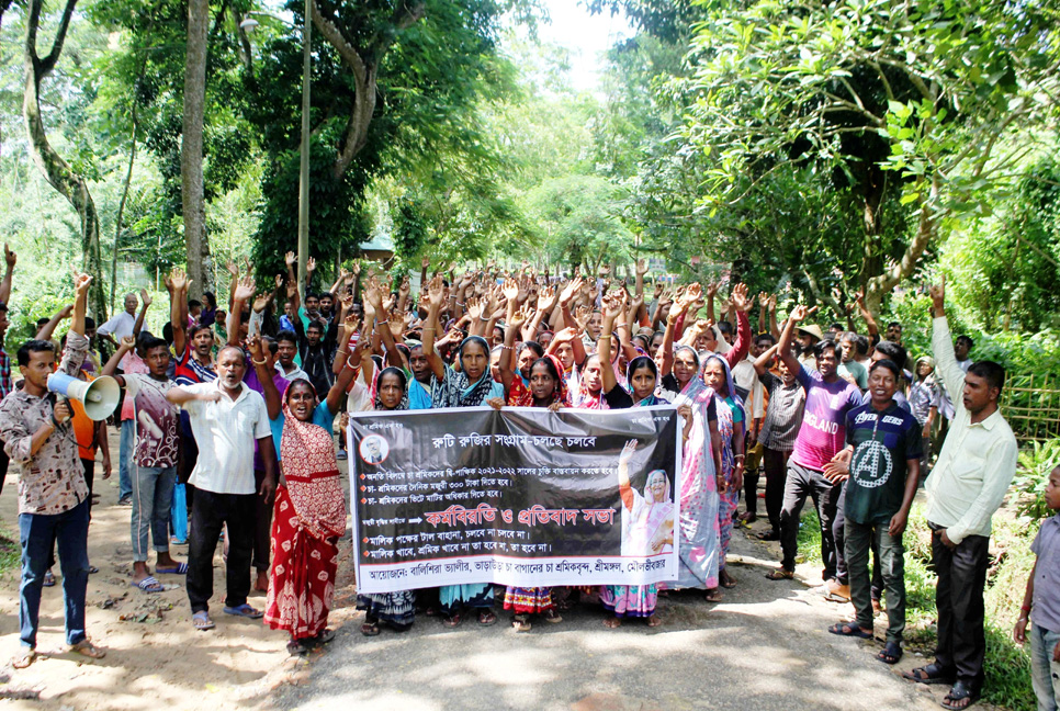 সমঝোতা হয়নি, আন্দোলন চালিয়ে যাবেন চা শ্রমিকরা  

