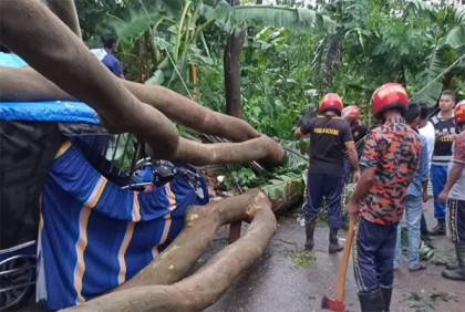 ঝালকাঠিতে ঝড়ো হাওয়ায় গাছপালার ক্ষতি