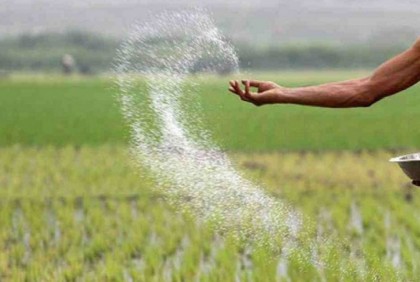 চাহিদার বিপরীতে সারের পর্যাপ্ত মজুত রয়েছে : কৃষি মন্ত্রণালয়

