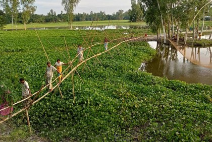বাঁশের সাঁকোই একমাত্র ভরসা  