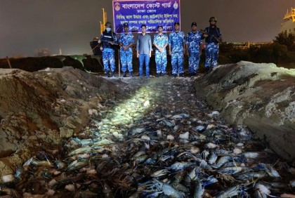 অবৈধ জেলি পুশকৃত ৯ হাজার কেজি চিংড়ি জব্দ