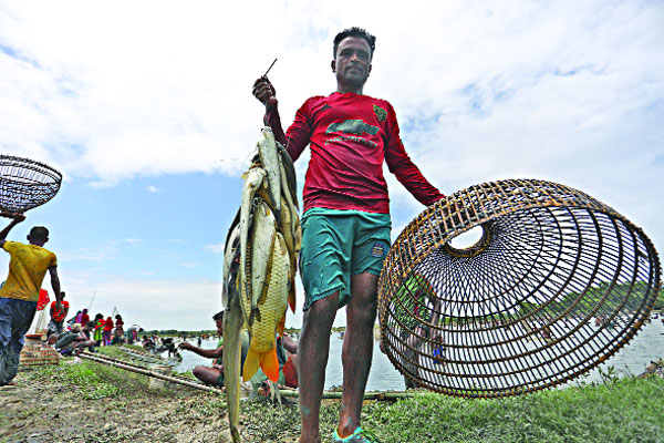 বিশ্বনাথে ঐতিহ্যের ‘পলো বাওয়া’ উৎসব