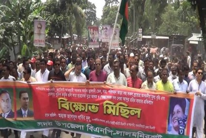 সরকারকে প্রতিহত করতে লাঠি তৈরি করতে হবে : দুলু