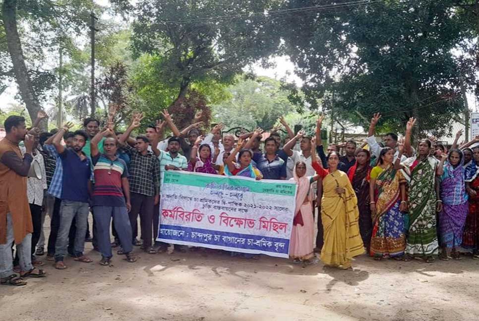 হবিগঞ্জ ও সিলেটের চা বাগানে কর্মবিরতি অব্যাহত রাখার সিদ্ধান্ত পঞ্চায়েত কমিটির
