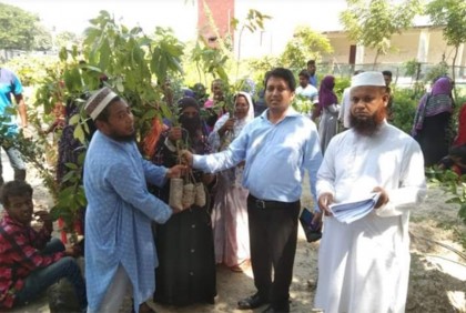 আশ্রয়ণ প্রকল্পের বাসিন্দাদের মাঝে গাছের চারা বিতরণ 