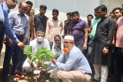 মাগুরায় বৃক্ষরোপণ অভিযান ও বৃক্ষ মেলার উদ্বোধন