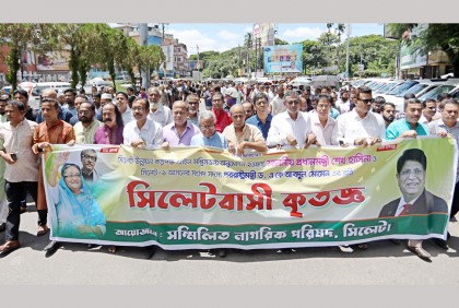 সিউক আইন অনুমোদন হওয়ায় পেশাজীবীদের র‌্যালি