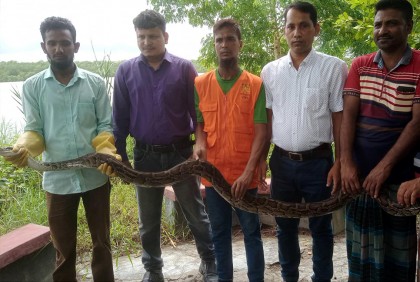 লোকালয়ে অজগর, সুন্দরবনে অবমুক্ত