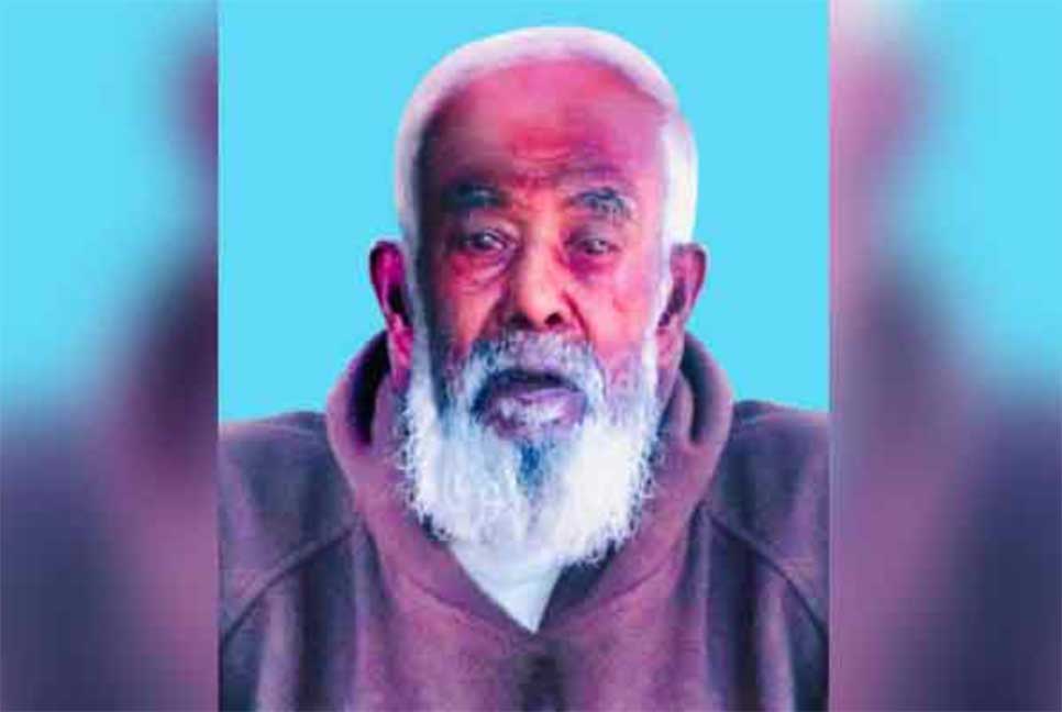 আমির হামজার স্বাধীনতা পুরস্কারের প্রস্তাব : উপ-সচিব ছেলেকে 'তিরস্কার'

