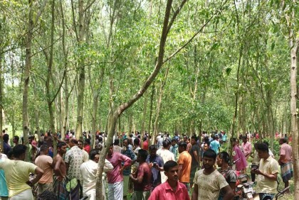 নালিতাবাড়ীতে নিখোঁজের ৫ দিন পর নারীর অর্ধগলিত লাশ উদ্ধার
