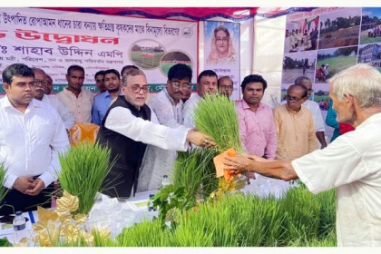 যুদ্ধের জন্য বিশ্বের অবস্থা খুব একটা ভালো না : পরিবেশমন্ত্রী