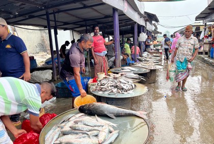 সাভারে বেড়েছে মাছের দাম

