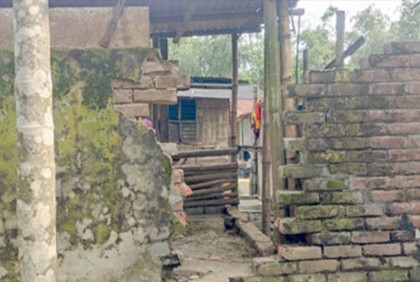 বড়াইগ্রামে গোয়াল ঘরের দেয়াল ভেঙে গরু চুরি
