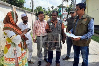 ফাঁদ পেতে শালিক ধরে বিক্রির অভিযোগে দণ্ড