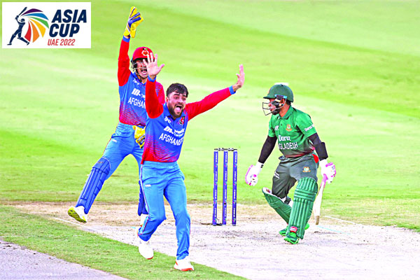 হারে শুরু টাইগারদের