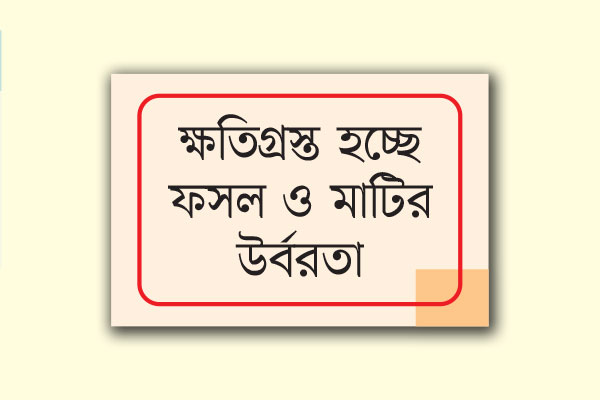 বরিশালে অবাধে বিক্রি হচ্ছে ভেজাল সার