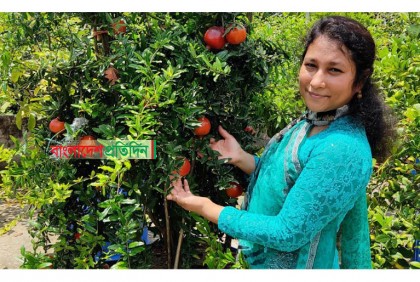 শখের ছাদ বাগান থেকেই এখন অর্থ আয়