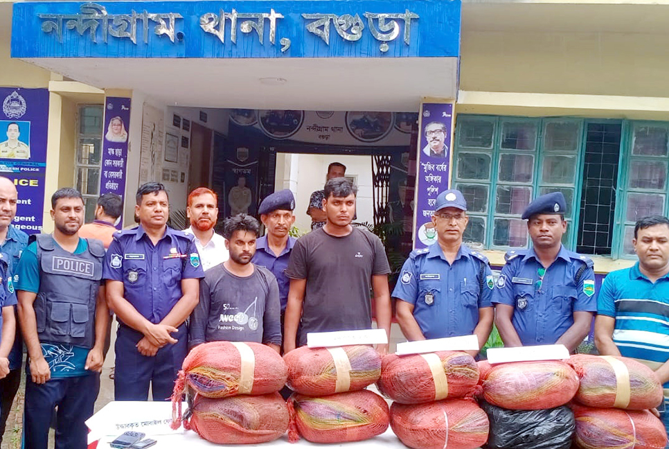 বগুড়ায় দুই মাসে ৭ মণ গাঁজা উদ্ধার