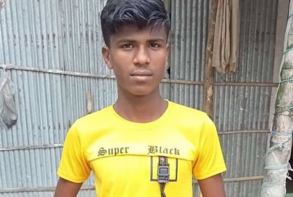 গাছের ডাল কাটতে গিয়ে বিদ্যুতায়িত হয়ে কিশোরের মৃত্যু
