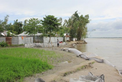 কমেছে তিস্তার পানি, বাড়ছে ভাঙন