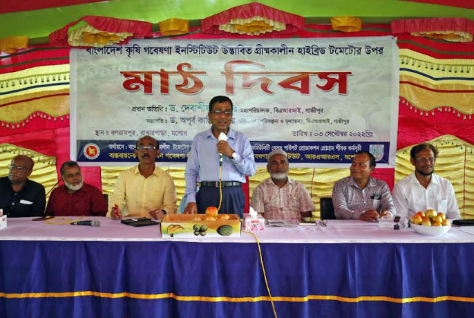 বারি উদ্ভাবিত গ্রীষ্মকালীন হাইব্রিড টমেটোর উপর মাঠ দিবস অনুষ্ঠিত