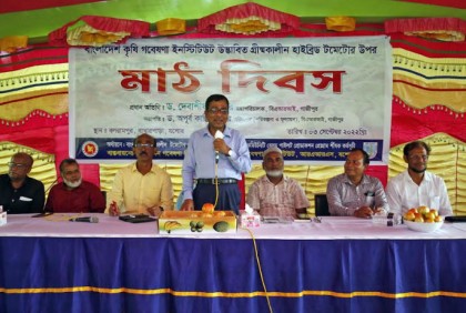 বারি উদ্ভাবিত গ্রীষ্মকালীন হাইব্রিড টমেটোর উপর মাঠ দিবস অনুষ্ঠিত