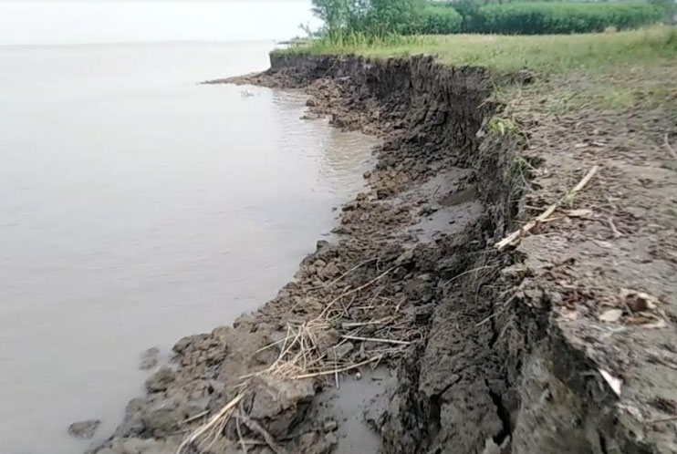 শরীয়তপুরে পদ্মার ভাঙনে বিদ্যালয়সহ ঘরবাড়ি হুমকিতে