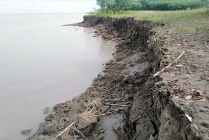 শরীয়তপুরে পদ্মার ভাঙনে বিদ্যালয়সহ ঘরবাড়ি হুমকিতে