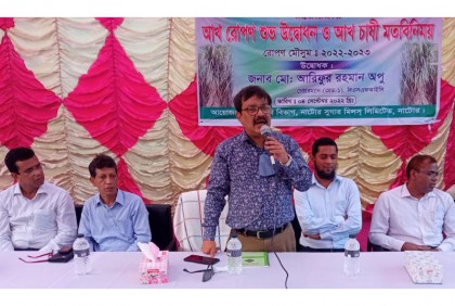 নাটোরে আখ রোপণ কর্মসূচির উদ্বোধন