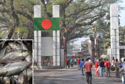 বেনাপোল বন্দর দিয়ে ভারতে গেল ইলিশের প্রথম চালান