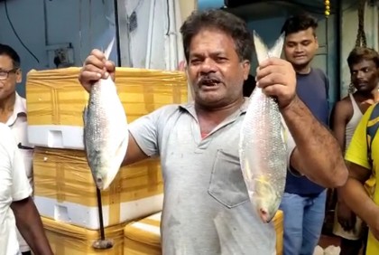 পশ্চিমবঙ্গে পৌঁছেছে বাংলাদেশি ইলিশের প্রথম চালান