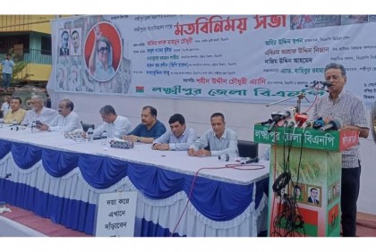 আওয়ামী লীগের এখন বিদায় বেলা: আমীর খসরু 