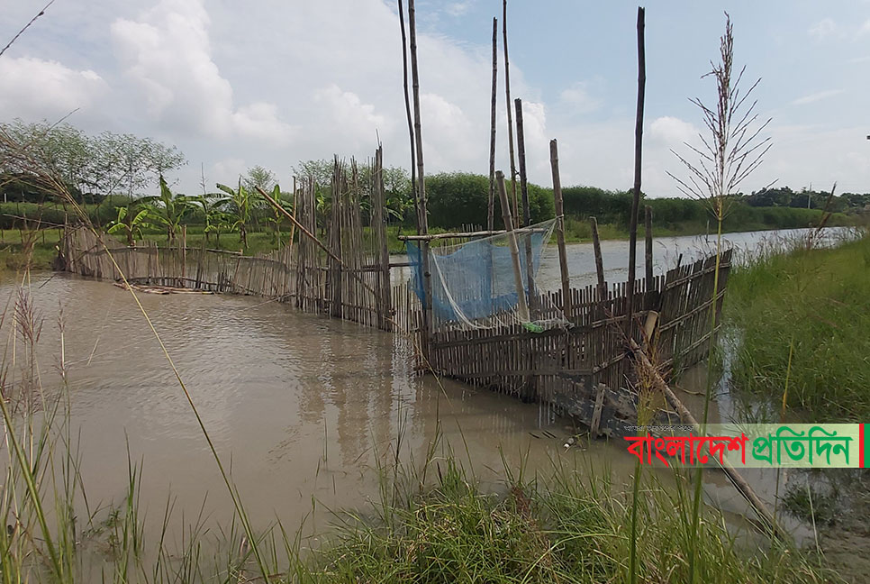 চরভদ্রাসনে বন্ধ হচ্ছে না আড়াআড়ি বাঁধ দিয়ে মাছ শিকার