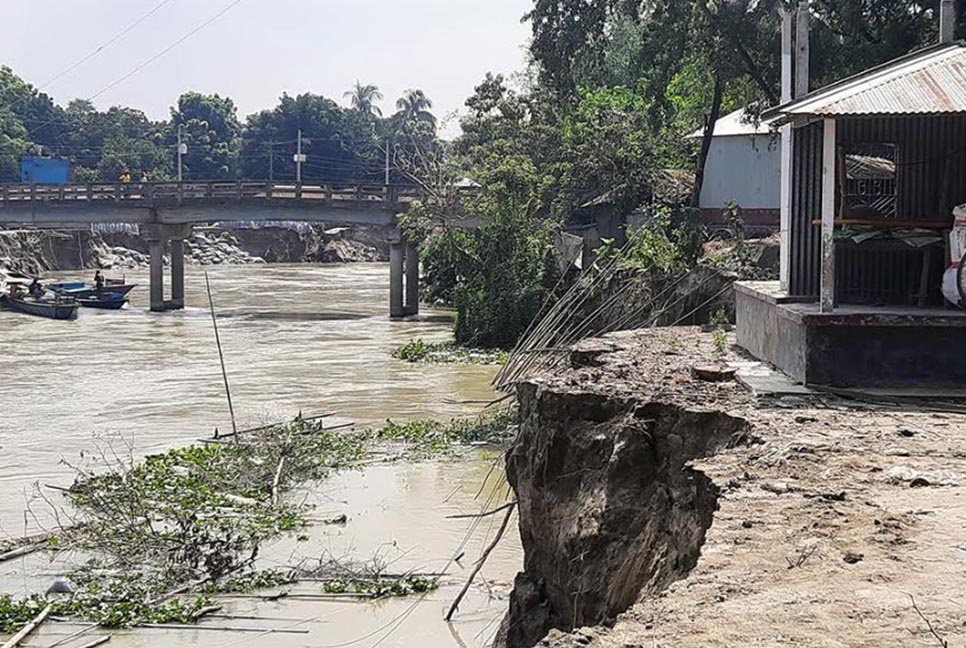 নদী ভাঙনে মানিকগঞ্জে শত বছরের গরুর হাট বিলীন 