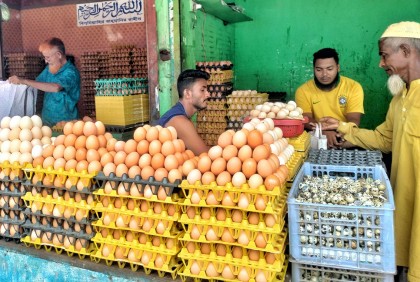 বগুড়ায় আবারও বাড়ছে ডিমের দাম