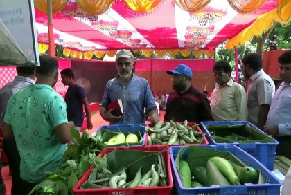 বিষমুক্ত সবজি খামার পরিদর্শনে বিদেশি প্রতিনিধি দল
