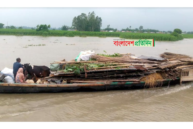 বগুড়ায় যমুনা নদীর পানি বৃদ্ধি 