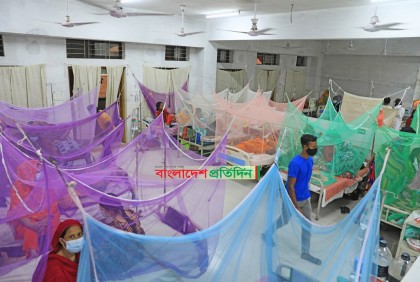 চলতি বছর দেশে হাসপাতালে ভর্তি ডেঙ্গু রোগীর সংখ্যা ৮ হাজার ছাড়ালো
