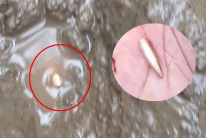 এবার মিয়ানমার থেকে ছোড়া গুলি এসে পড়লো বাংলাদেশে