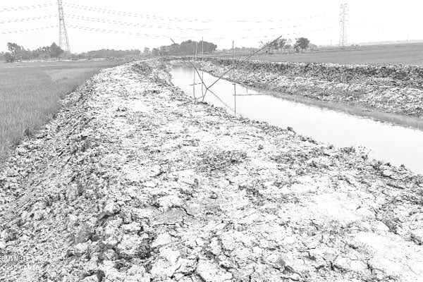 খাল পুনর্খনন