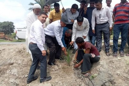 নাটোরে খেজুর গাছের চারা ও বীজ রোপন 