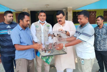আকাশে উড়লো খাঁচায় বন্দী ৮ মুনিয়া