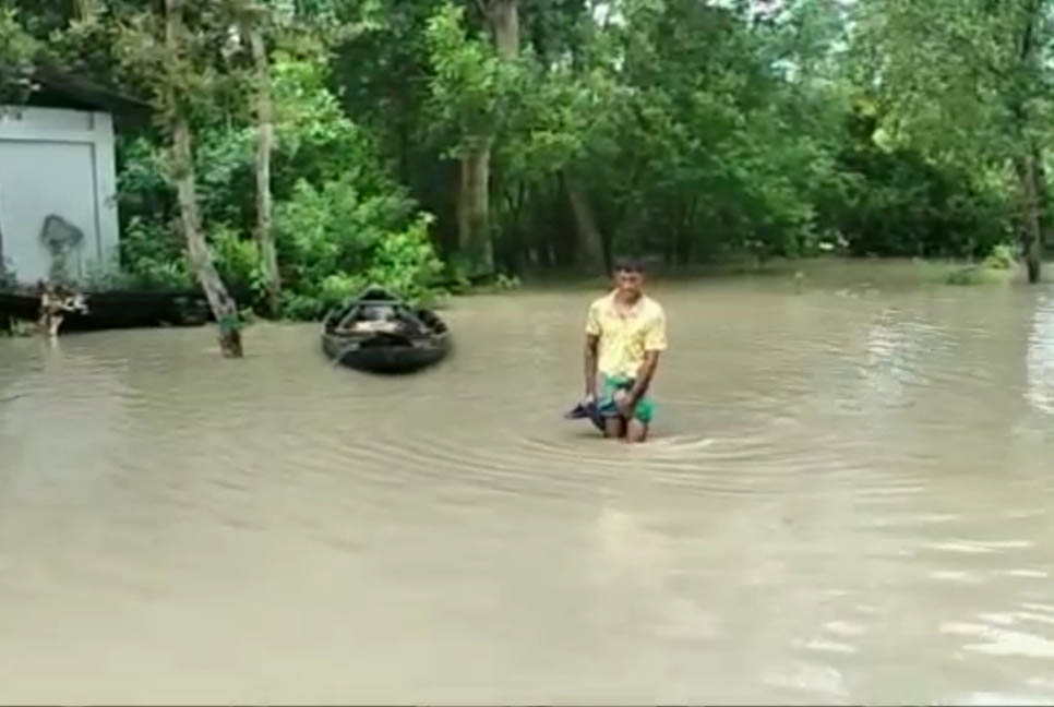 সুন্দরবনে বন্যপ্রাণী প্রজনন ও পর্যটন কেন্দ্র পানিতে প্লাবিত
